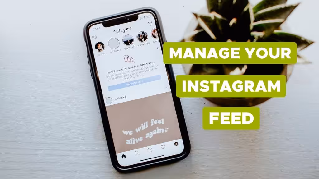 Best Practices for Managing Instagram Feed on Shopify